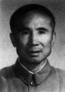 王德潤[有色金屬冶金工程技術專家]