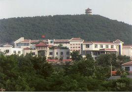 梓童山武術院 梓童山武術院