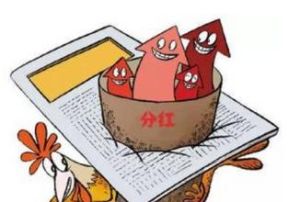 紅利再投資 紅利再投資