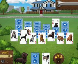 可愛動物接龍 可愛動物接龍