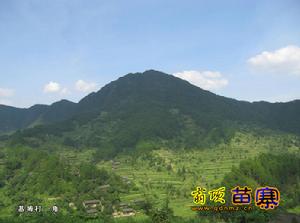 圖1 翁項雲霧山