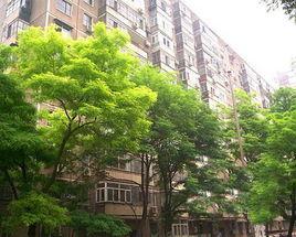 三源里社區 三源里社區