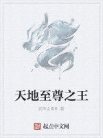 天地至尊之王 天地至尊之王