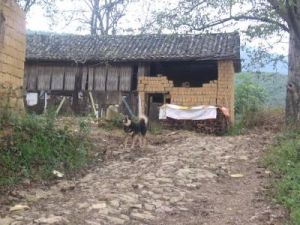 施家自然村 施家自然村