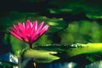 杭州風景點 杭州風景點