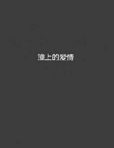 撞上的愛情 撞上的愛情