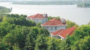 知音湖旅遊度假區 知音湖旅遊度假區