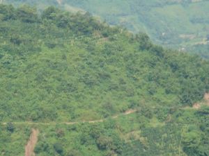 瓦房箐村 瓦房箐村