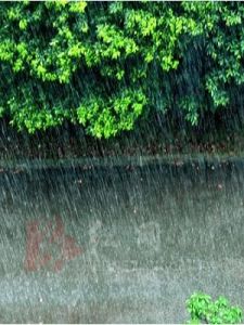 驟雨[漢語辭彙]