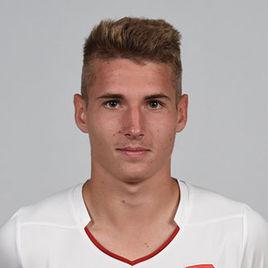 米夏爾·薩迪萊克 米夏爾·薩迪萊克