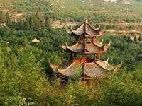 竹林禪院 竹林禪院