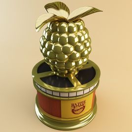 第39屆金酸莓獎 第39屆金酸莓獎