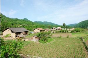 牛棚子自然村 牛棚子自然村