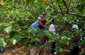 馬頰河森林旅遊度假村