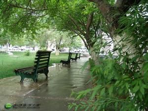 新疆農業大學校園一角