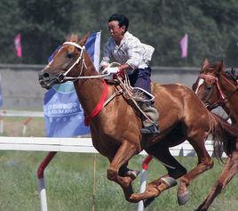 馬王扎那 馬王扎那