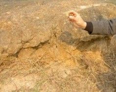 孫家成土城遺址 孫家成土城遺址