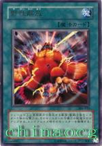 野性解放 野性解放