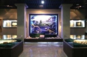 台江古生物化石博物館 台江古生物化石博物館