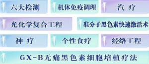 GX—B多維白癜風康復工程