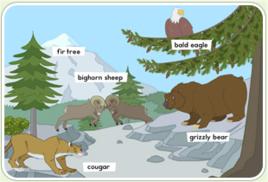 野生動物棲息地 野生動物棲息地