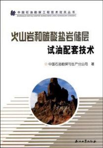 火山岩和碳酸鹽岩儲層試油配套技術 火山岩和碳酸鹽岩儲層試油配套技術