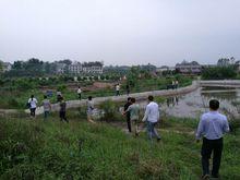 白坪鄉[四川武勝縣白坪鄉]