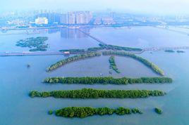 水東鎮[湖南省漵浦縣轄鎮]
