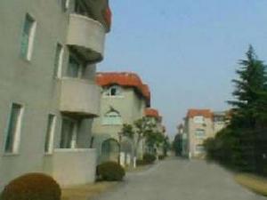 金城別墅 金城別墅