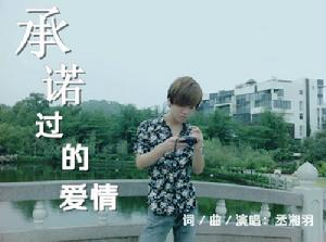 《承諾過的愛情》