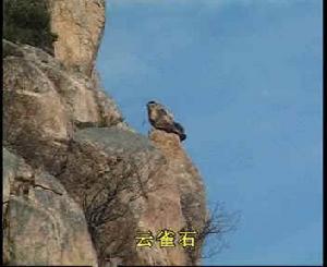 艾山國家森林公園