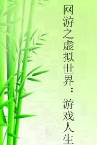 網遊之虛擬世界:遊戲人生 網遊之虛擬世界:遊戲人生