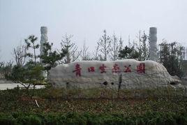 青口生態公園 青口生態公園