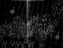 豐後大友氏 豐後大友氏