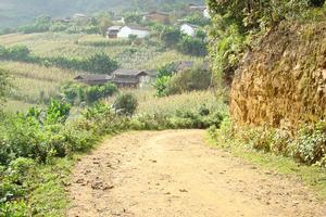 氈支寨自然村 氈支寨自然村