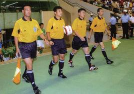 國際足球比賽日 國際足球比賽日