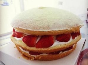 波士頓派 波士頓派