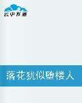 落花猶似墮樓人 落花猶似墮樓人