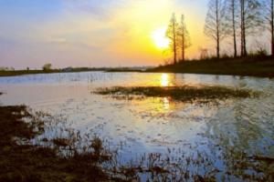 登月湖度假區 登月湖度假區