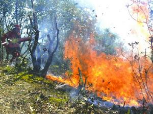 四川冕寧森林大火 四川冕寧森林大火