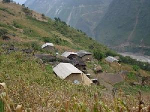 青科王坪自然村 青科王坪自然村