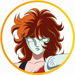 聖鬥士星矢：聖斗少女翔[東映企劃、GONZO製作的動畫]