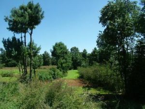 山尾巴村 山尾巴村