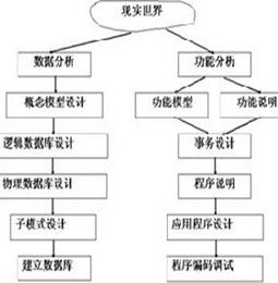 啄食順序理論 啄食順序理論