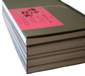 《懷袖雅物——蘇州摺扇》 