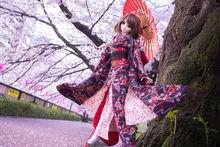 手辦模型[收藏性人物模型]