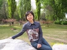 武森[北京科技大學教授]