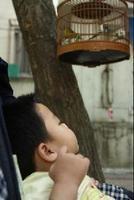 睜眼昏迷 睜眼昏迷