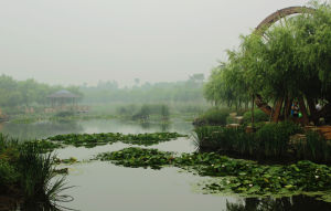 黃水河濕地公園