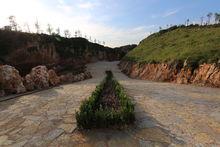 多樂原天生雙橋